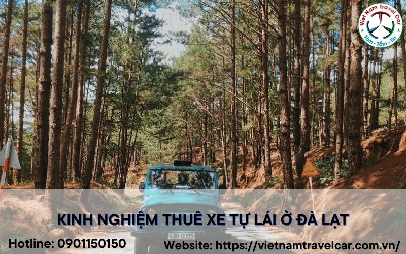 Kinh nghiệm thuê xe tự lái Đà Lạt tiết kiệm, lựa chọn nhiều dòng xe