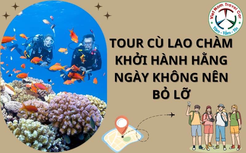 Tour Cù Lao Chàm khởi hành hằng ngày không nên bỏ lỡ