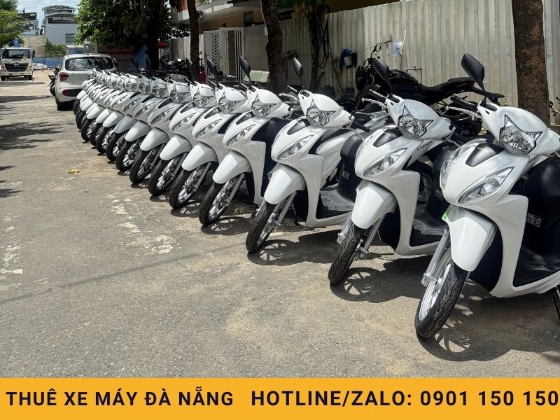 bang gia thue xe may da nang 2 Bảng Giá Thuê Xe Máy Đà Nẵng
